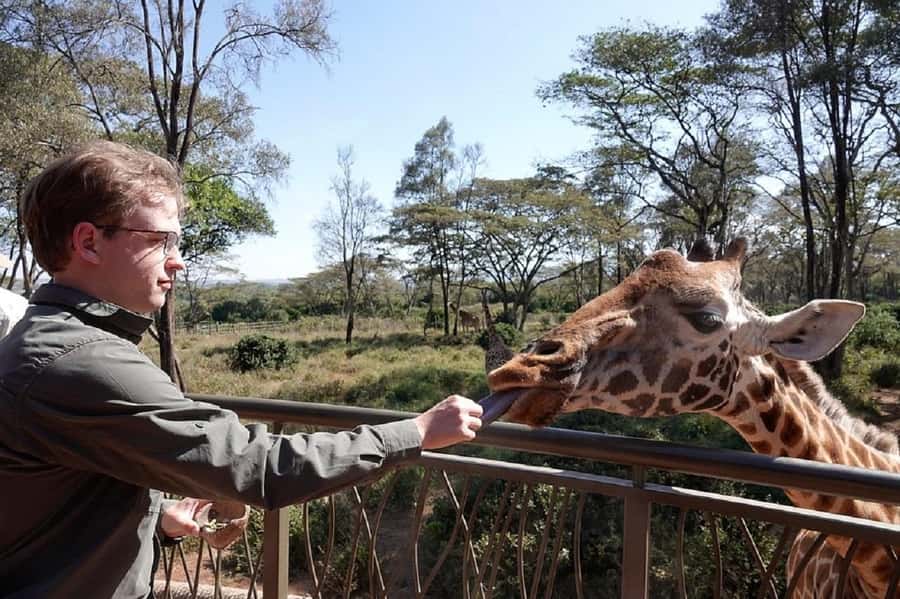 Nairobi:Giraffe Center, Baby Elephant and Beads factory Tour - How This 5-Hour Nairobi Day Actually Runs