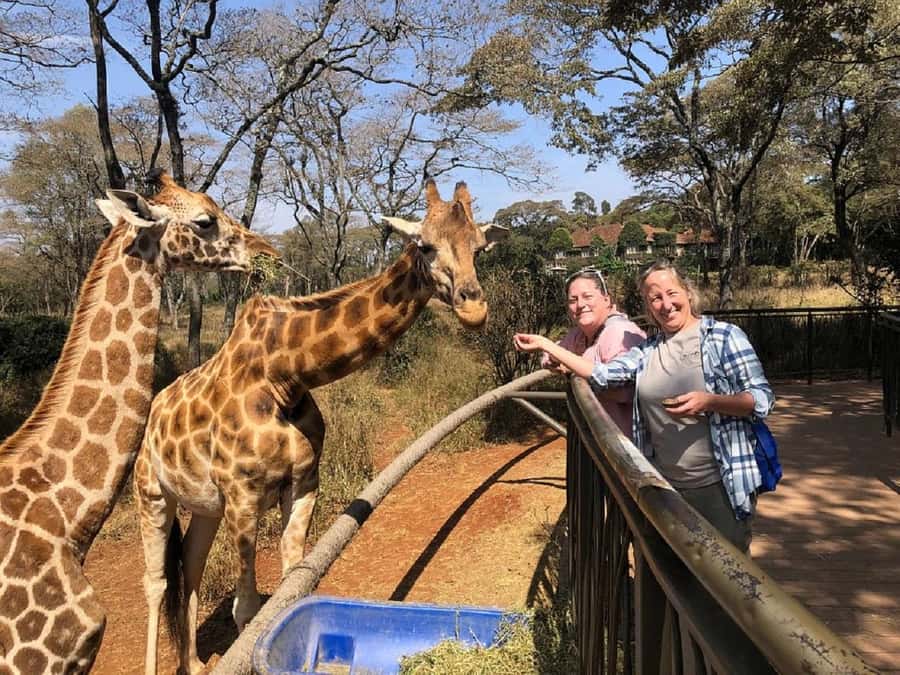 Nairobi:Giraffe Center, Baby Elephant and Beads factory Tour - Transport, Timing, and Pick-Up Zones in Nairobi
