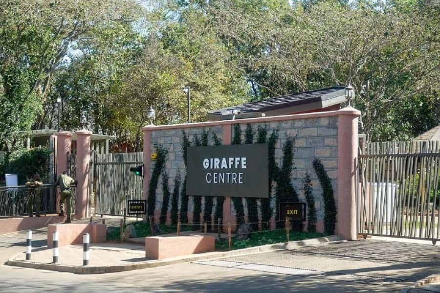 Nairobi:Giraffe Center, Baby Elephant and Beads factory Tour - Value for Money: Is $32 Worth It?