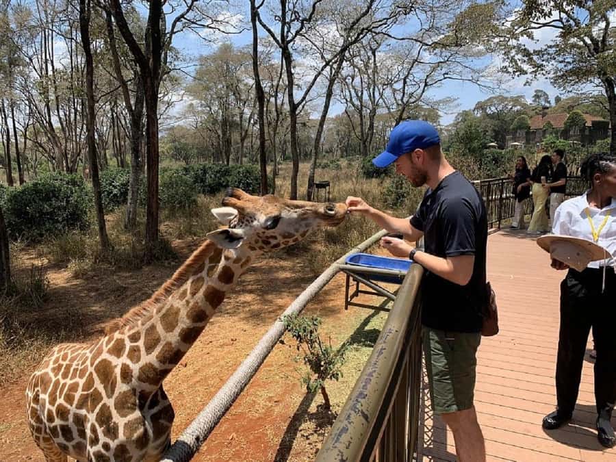 Nairobi:Giraffe Center, Baby Elephant and Beads factory Tour - Hand-Feeding Giraffes at Nairobi’s Giraffe Centre