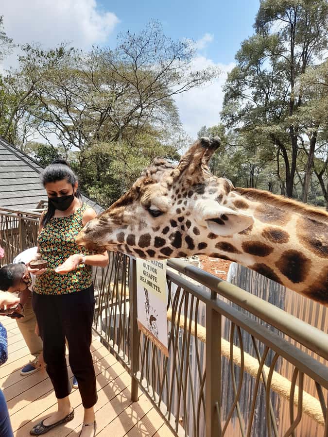 Nairobi: Giraffe Center, Beads Factory & Bomas of Kenya Tour - Should you book this Nairobi Giraffe Center, Beads Factory and Bomas tour?