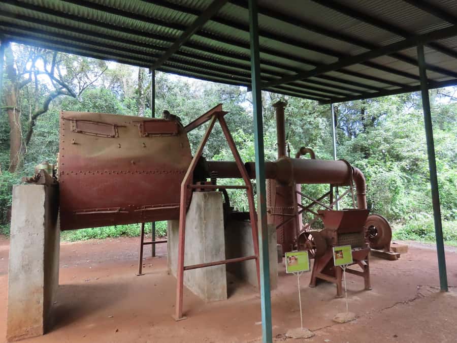 Nairobi Giraffe Center Tour with Karen Blixen & Kobe Beads - Key Things To Know Before You Go