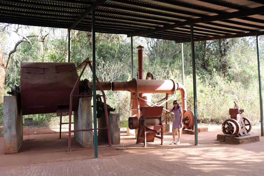 Nairobi Giraffe Center Tour with Karen Blixen & Kobe Beads - Love Birds Paradise: Coffee or Lunch, Plus Souvenir Time