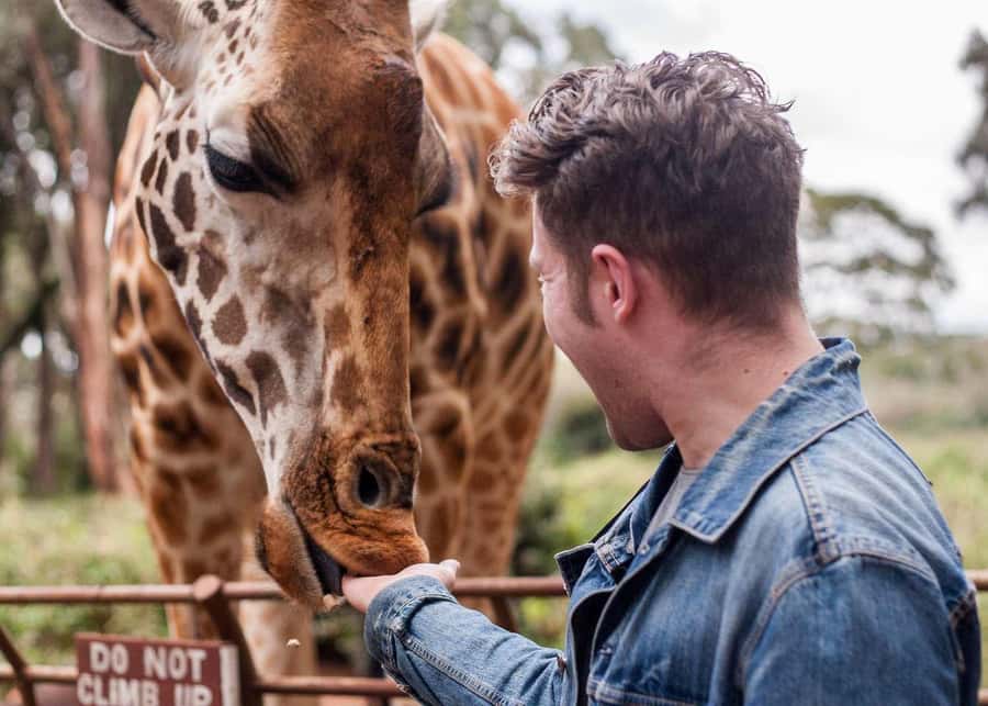 Nairobi Giraffe Center Tour with Karen Blixen & Kobe Beads - Price and Value: What the $40 Covers (And What It Does Not)