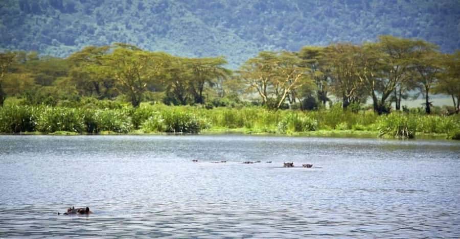 Nairobi:Group Hell's Gate National Park & Lake Naivasha Tour - Key things to know before you go