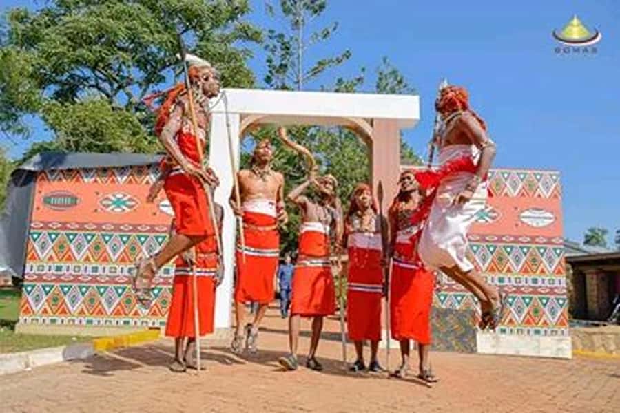 Nairobi: Guided Afternoon Tour to Bomas of Kenya. - Key points to know before you go