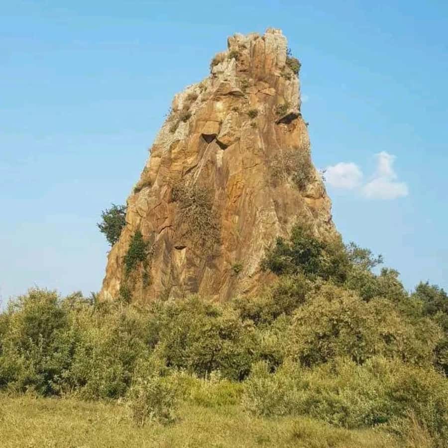 Nairobi: Hell's Gate National Park and Lake Naivasha Tour - Key highlights worth planning around