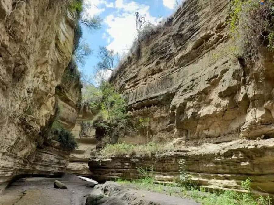 Nairobi: Hell's Gate National Park and Lake Naivasha Tour - Why combining Hell’s Gate and Lake Naivasha in one day works