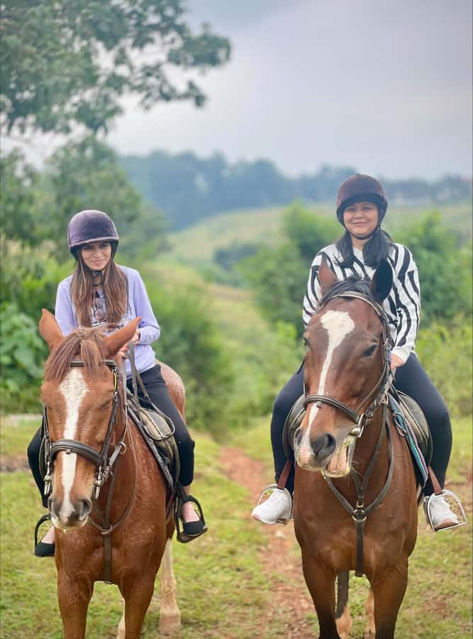 Nairobi: Horseback Riding Tour Through Maize Plantation - Entering the New Muthaiga stables, getting matched, and finding your rhythm