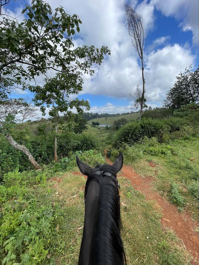 Nairobi: Horseback Riding Tour Through Maize Plantation - Choosing your pace: slower riding, canter, and what experienced riders really get