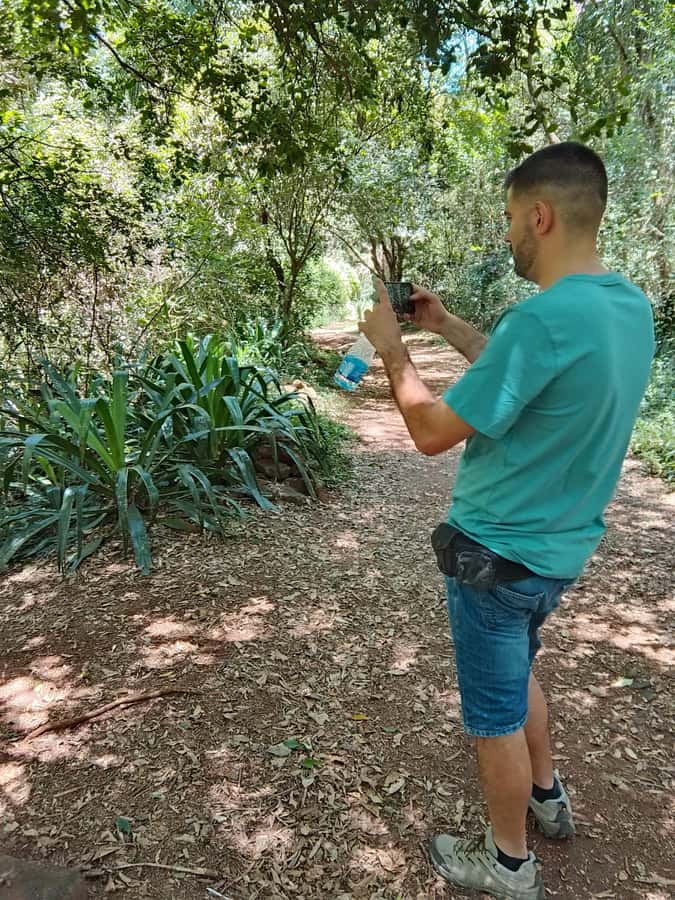 Nairobi: Karura Forest Guided Walking Tour - The 3-hour walk pace: slow, soulful, and actually doable