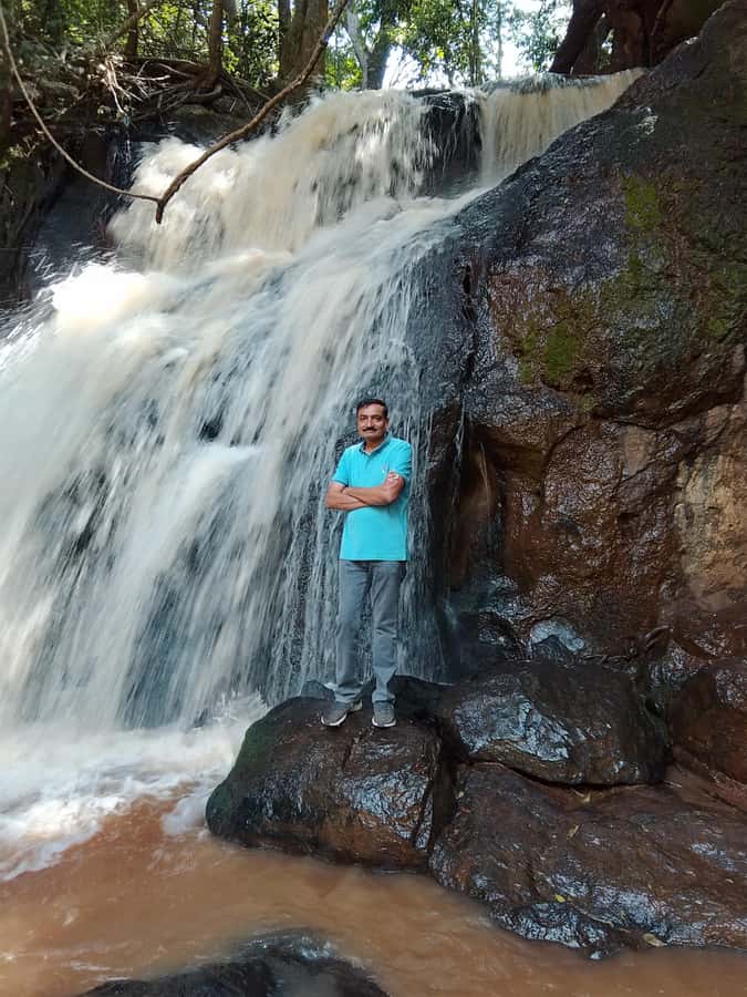 Nairobi: Karura Forest Guided Walking Tour - Mau Mau caves and the freedom corner: history you can stand inside