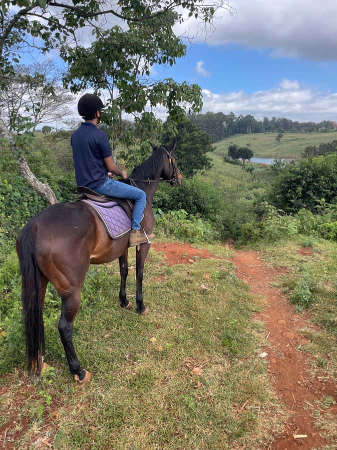 Nairobi: Karura Forest Horseback Riding Tour - Key Highlights to Know Before You Go