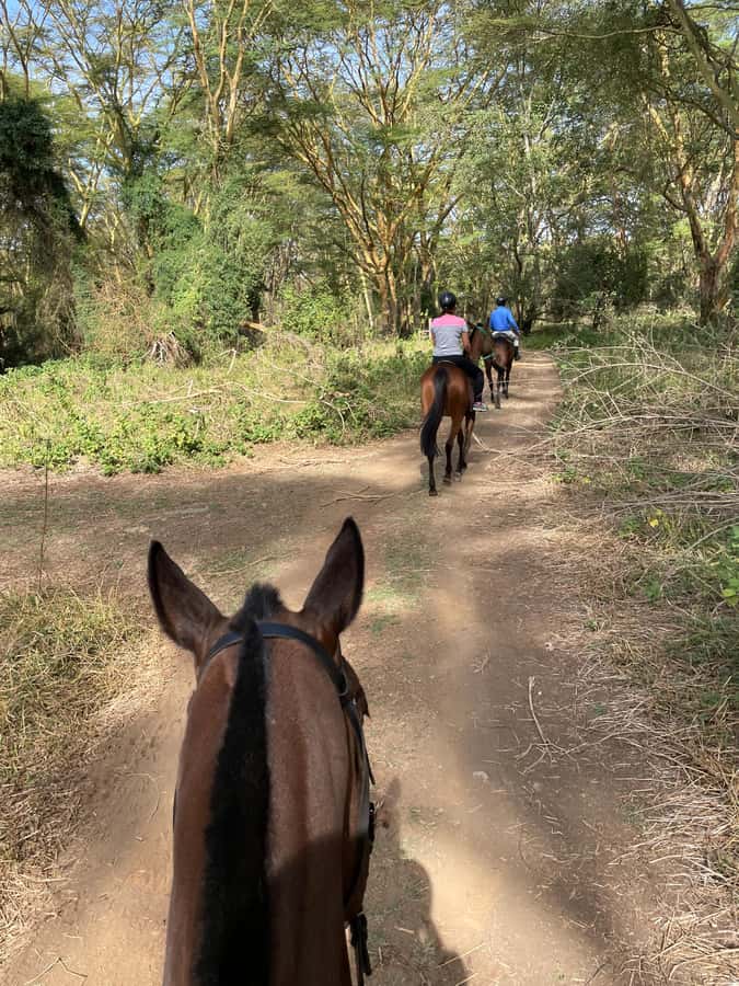 Nairobi: Karura Forest Horseback Riding Tour - Entering Karura Forest from Sigiria Gate
