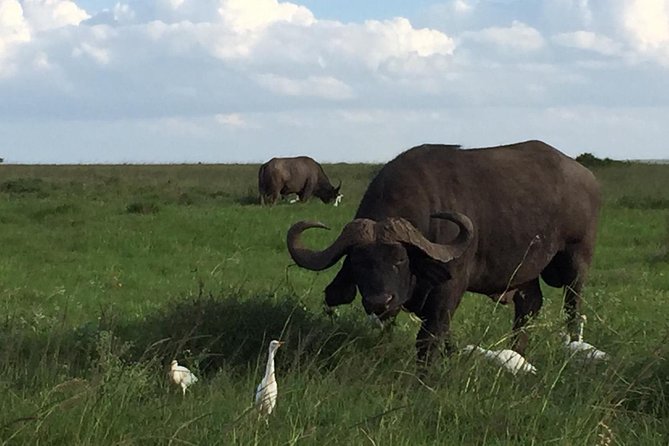Nairobi layover - How long you’re actually in play, 1 to 2 hours versus a 4-hour plan