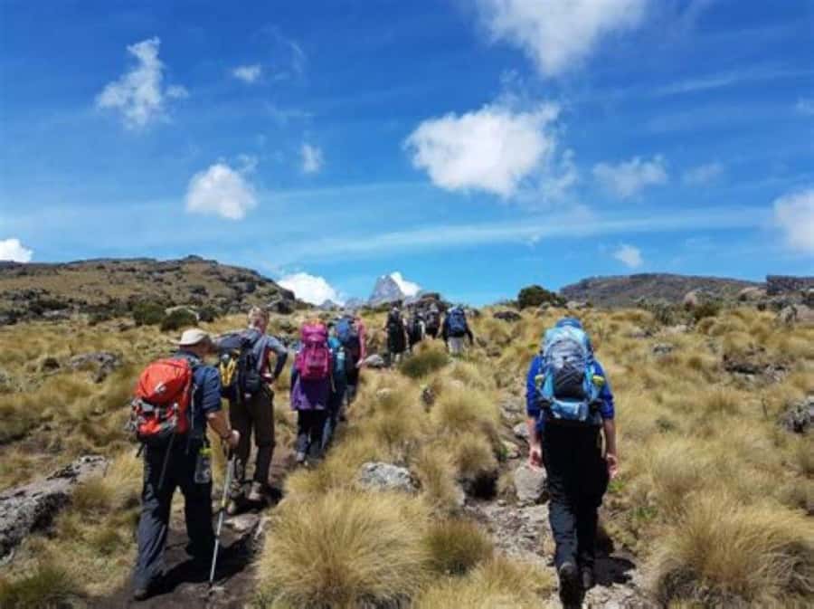 Nairobi: Mount Kenya Day Hike with Lunch - Key highlights that make this Mount Kenya day hike worth it