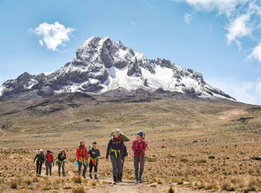 Nairobi: Mount Kenya Day Hike with Lunch - Old Moses Camp at the 3,800m goal: views of Batian and Nelion