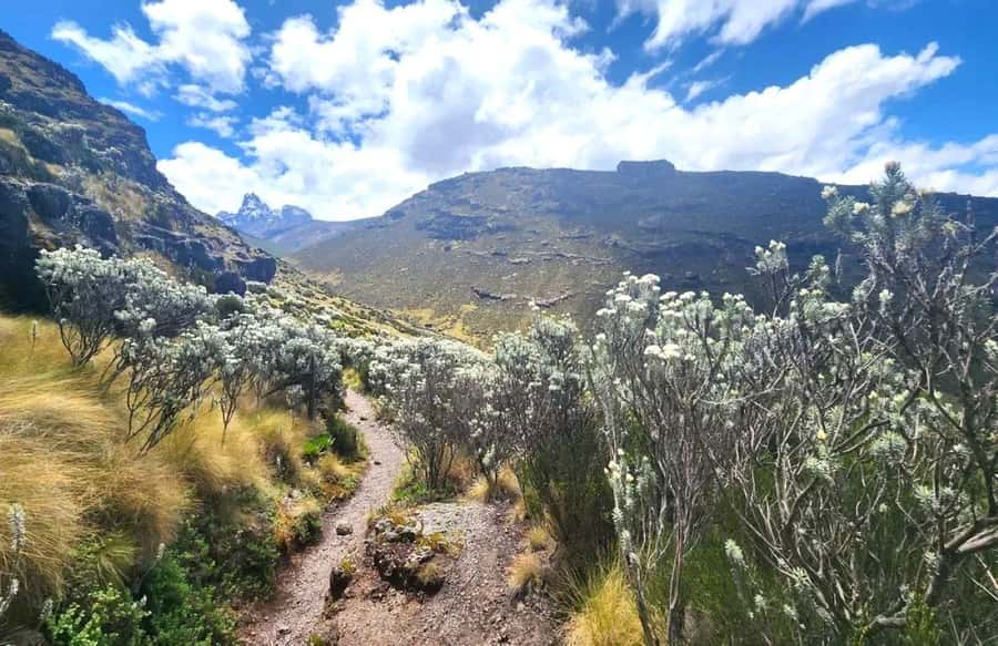 Nairobi: Mount Kenya Day Hike with Lunch - The picnic lunch at Old Moses Camp: nice break, but plan for basic food