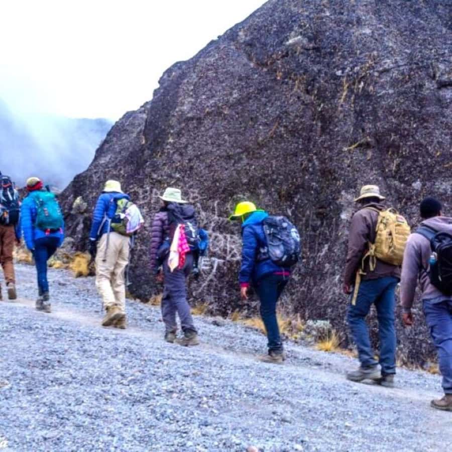 Nairobi: Mount Kenya Day Hike with Lunch - Descent to Met Station and return to Nairobi by 5 to 6 pm