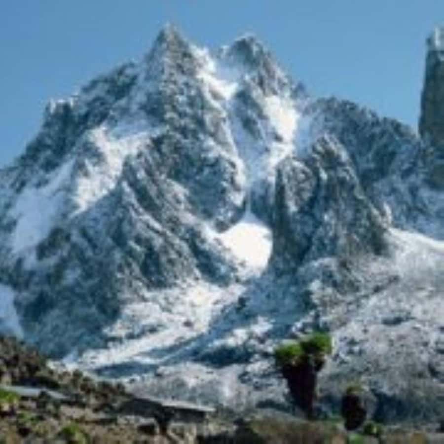 Nairobi: Mount Kenya Day Hike with Lunch - Fitness level and who should skip this steep day
