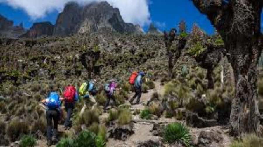 Nairobi: Mount Kenya Day Hike with Lunch - What to pack for Mount Kenya in one day (the stuff that actually helps)