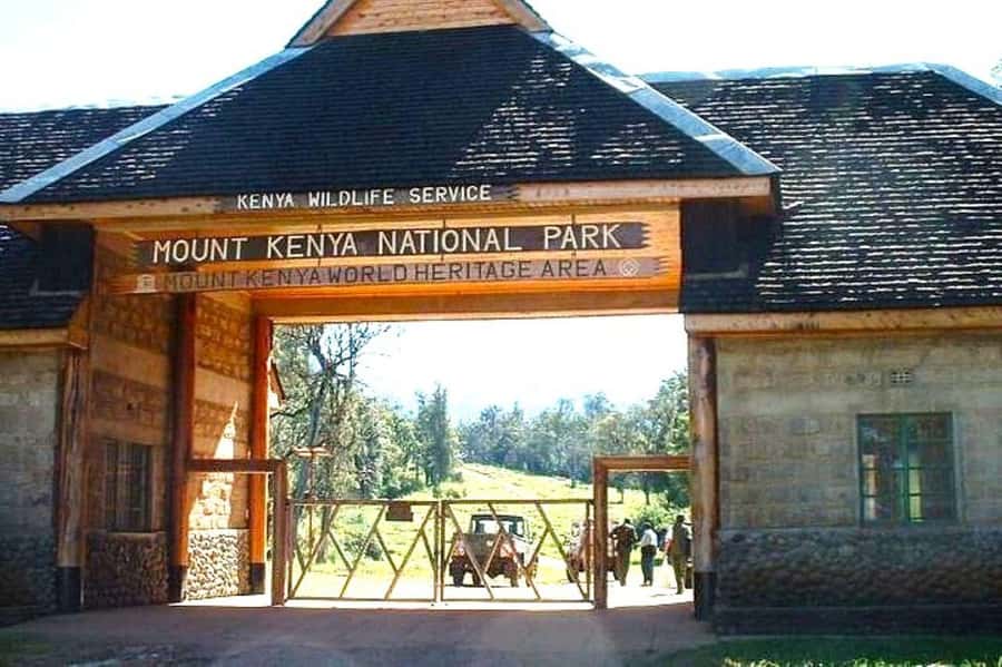 Nairobi: Mount Kenya Day Hike with Lunch - Naro Moru route to Met Station: steep, fast, and honest about effort