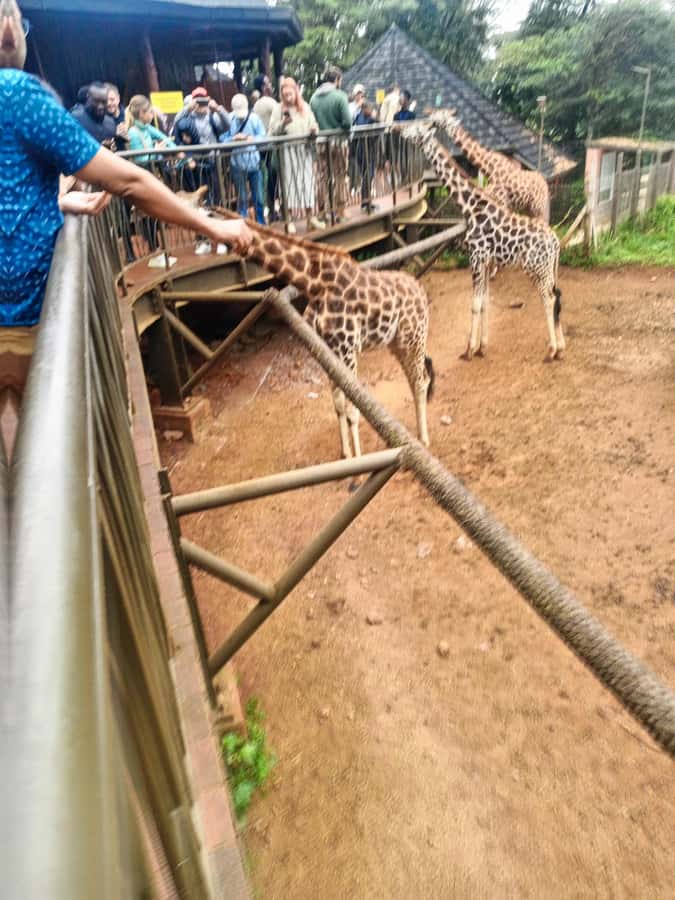 Nairobi: Museum, KICC, Giraffe Centre & Bomas of Kenya Tour - Lunch planning, and how the guide helps you eat well