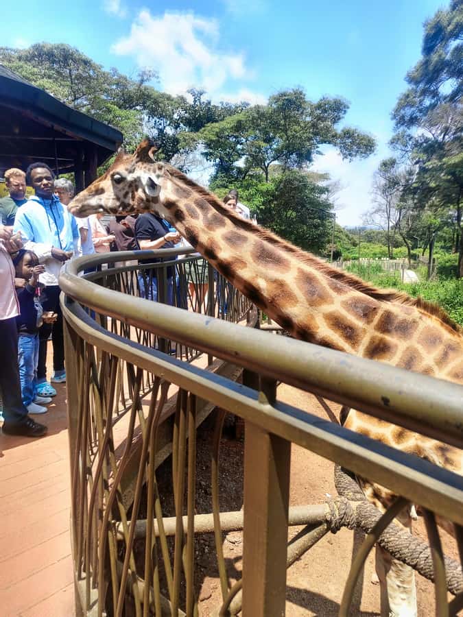 Nairobi: Museum, KICC, Giraffe Centre & Bomas of Kenya Tour - Faith the guide: Why the day feels easy