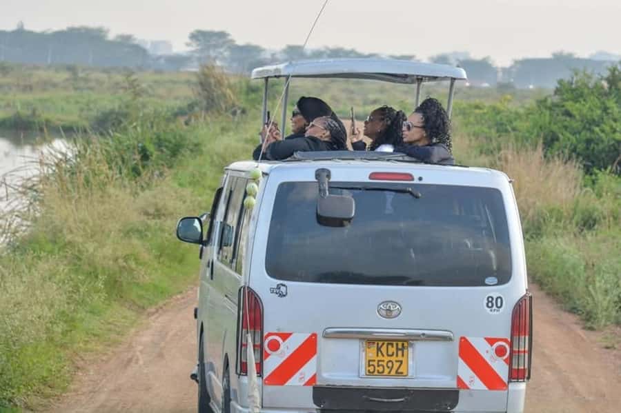 Nairobi: Nairobi National Park Half-Day Game Drive - A Half-Day Safari That Feels Like Nairobi, Not the Outback