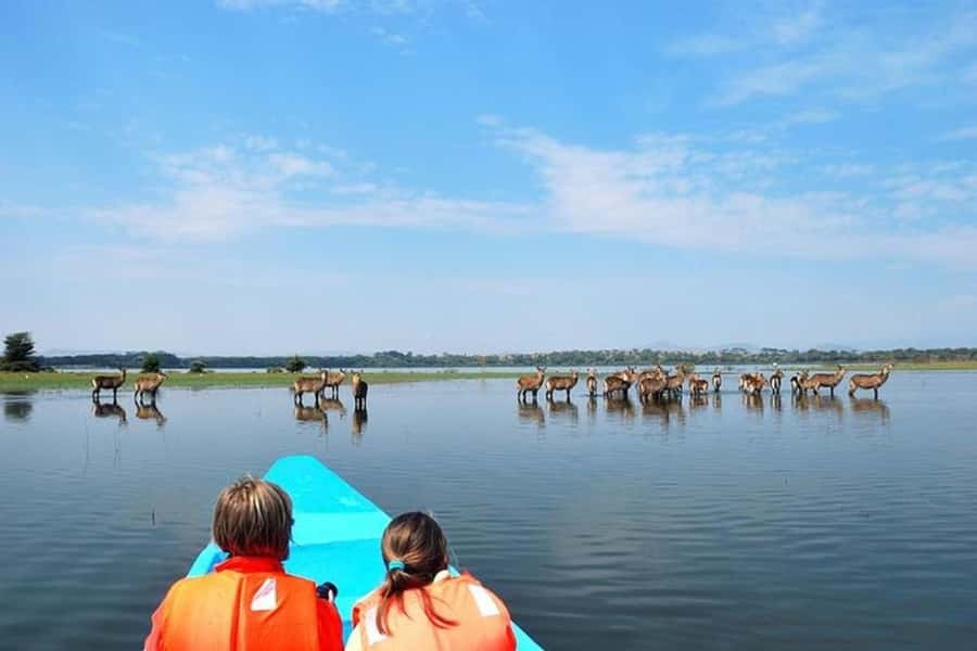 Nairobi: Nakuru National Park and Lake Naivasha Day Tour - Price and value: why $215 can make sense for this route