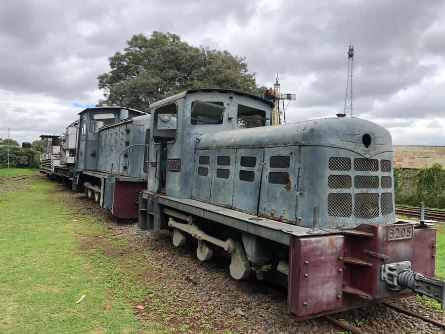 Nairobi National Museum & City Tour. - Morning logistics that help you enjoy the day