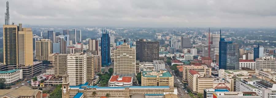Nairobi National Museum & City Tour. - Nairobi National Museum: a guided 1.5-hour orientation that saves you guesswork
