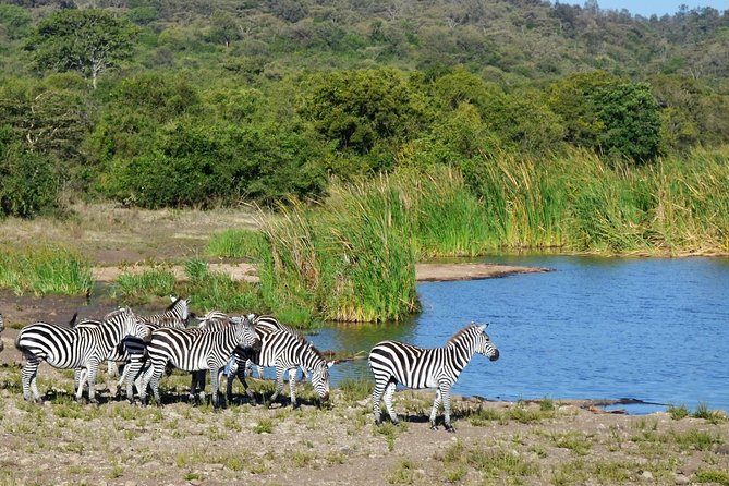 Nairobi National Park - Nairobi National Park, The Ark, right beside the capital