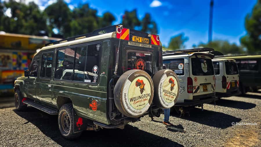 Nairobi National Park 5-hour Guided Game Drive Free Pick up - KOBE TOUGH Beads and Leather, a Short Souvenir Stop