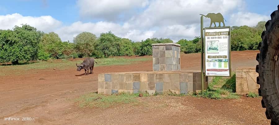 Nairobi National Park 6 am Group Joining Game drive. - Photo Stop Energy: What To Expect And How To Work With The Van
