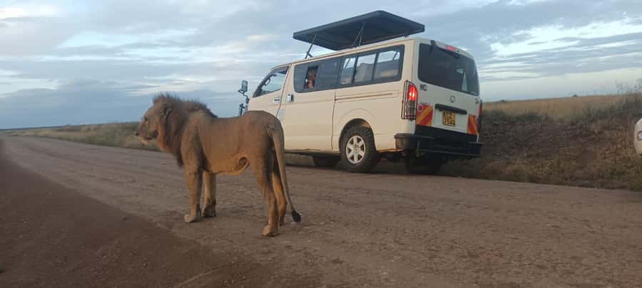 NAIROBI NATIONAL PARK AFTERNOON GAME DRIVE. - Key things to know before you go