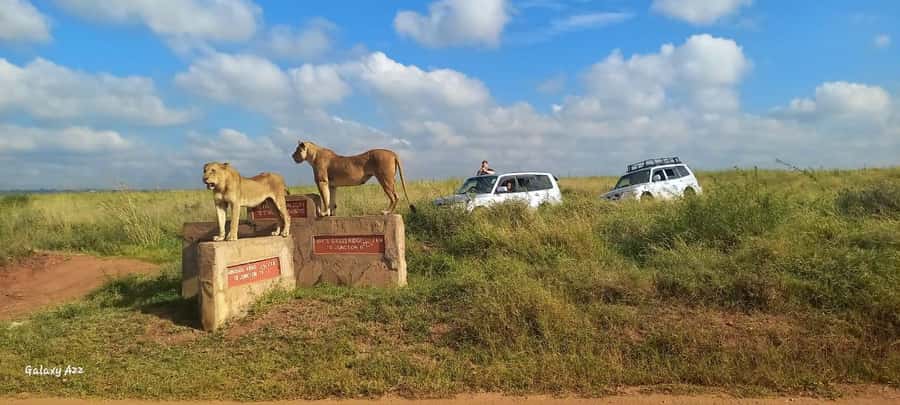 NAIROBI NATIONAL PARK AFTERNOON GAME DRIVE. - Comfort, toilets, and the small-shop stop