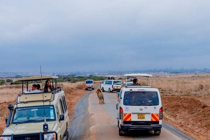 Nairobi National Park and Beads Factory Private Tour - Nairobi National Park, Wildlife With the City in View