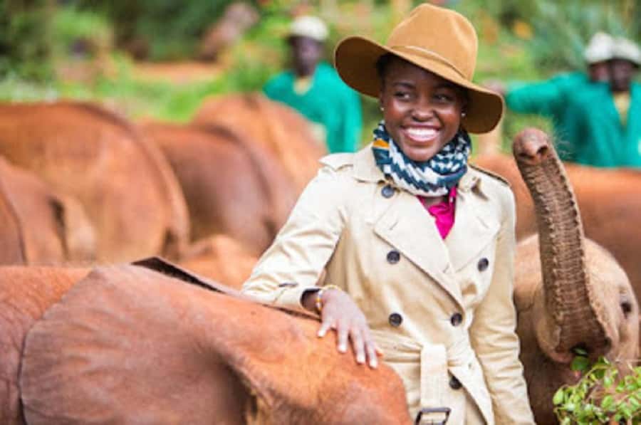 Nairobi national park and elephant orphanage - Key Highlights You Will Actually Feel