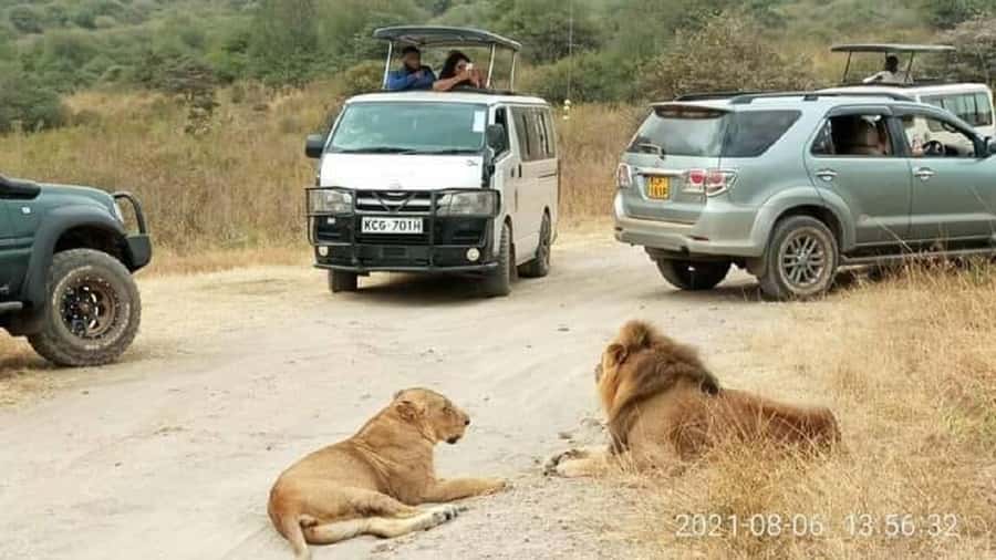 Nairobi national park and elephant orphanage - The Morning Game Drive in Nairobi National Park