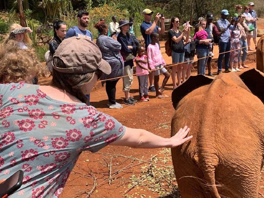Nairobi national park and elephant orphanage - David Sheldrick Wildlife Trust Elephant Orphanage: What to Expect