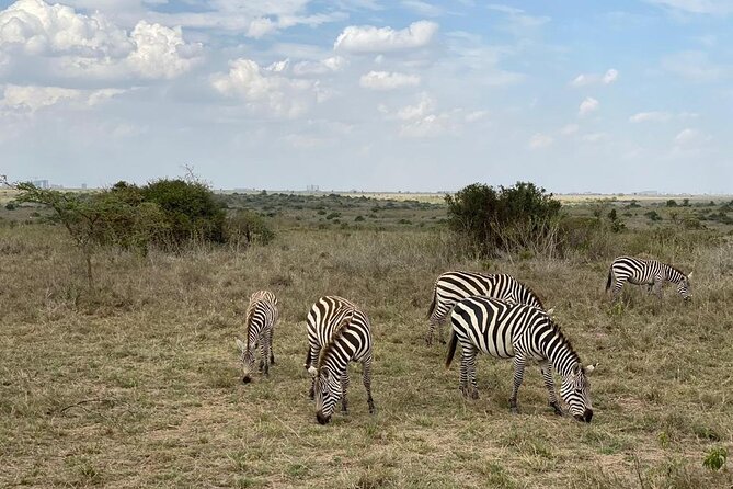 Nairobi national park and Giraffe center - How the private setup keeps your day from feeling rushed