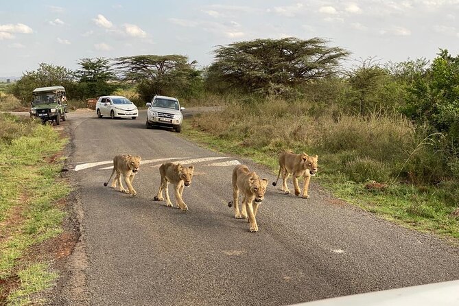 Nairobi national park and Giraffe center - What to bring for comfort during the park drive and centre visit