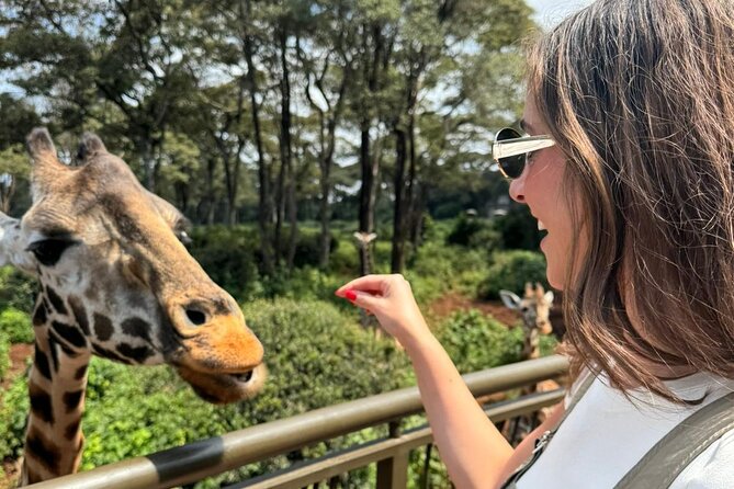 Nairobi National Park and Giraffe Center Daily Tours. - Giraffe Centre Sanctuary: education plus close giraffe moments