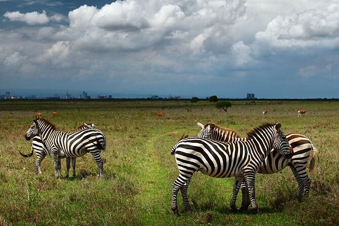 Nairobi National Park and Giraffe Center Day Tour - Key points