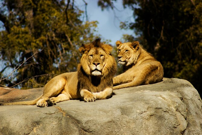 Nairobi National park And Giraffe Center: Free Wi-Fi Connection - Free Wi-Fi, bottled water, and why the small comforts matter