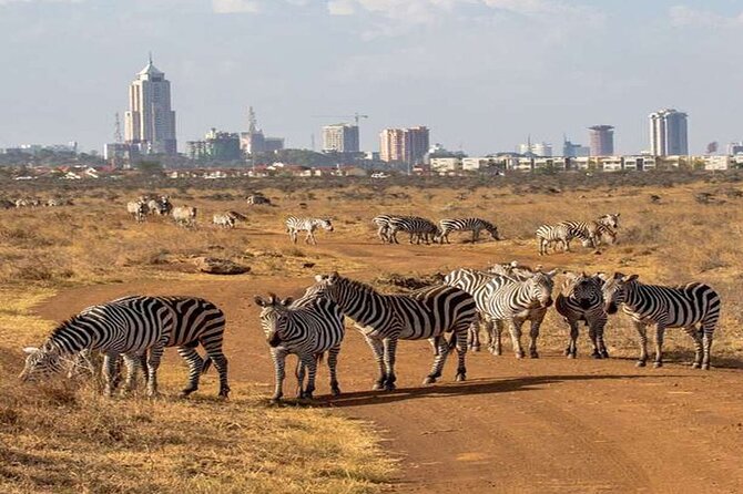 Nairobi National Park and Giraffe Center from Kenya with a Guide - Why Nairobi National Park feels like no other city safari