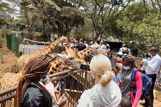 Nairobi: National park, baby Elephant, Giraffe center - Karen Blixen Museum: colonial Nairobi after the safari