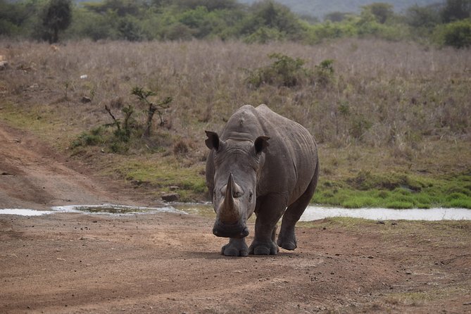 Nairobi National Park, Baby Elephant Orphanage and Giraffe Center - Kazuri Beads Factory: a crafts stop with real local value