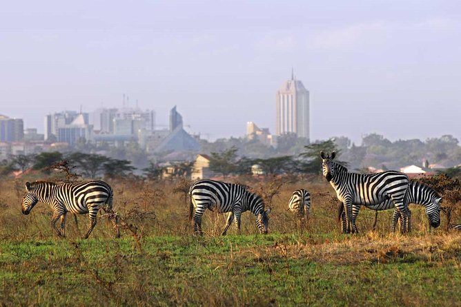 Nairobi National Park, Baby Elephant Orphanage and Giraffe Center - Who this tour suits best